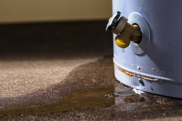 Best Flooded house restoration  in Sand Ridge, NY
