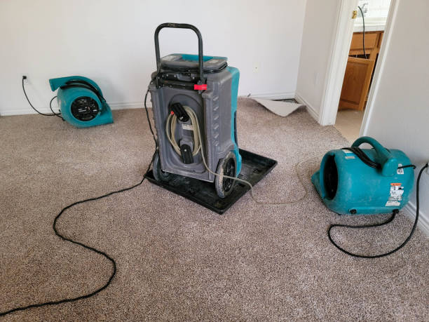 Best Local water damage restoration  in Sand Ridge, NY