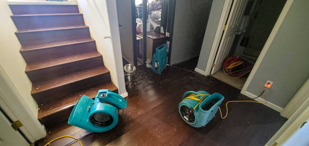 Best Water damage restoration process  in Sand Ridge, NY