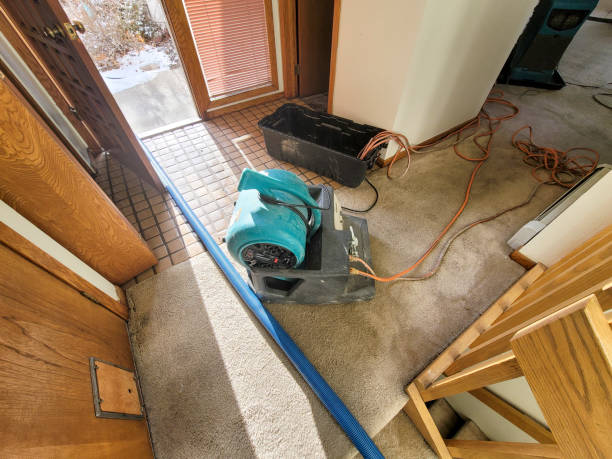 Best Residential water damage restoration  in Sand Ridge, NY