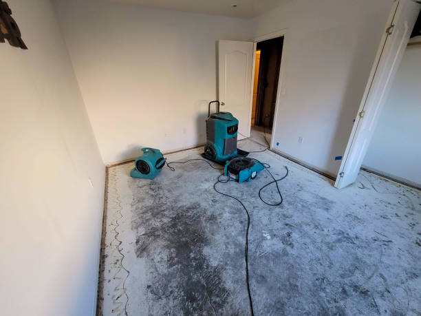 Sand Ridge, NY Water damage restoration Company