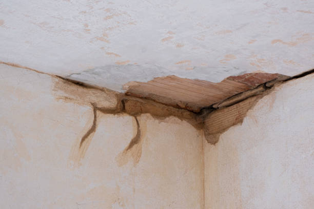 Best Water damage contractors near me  in Sand Ridge, NY