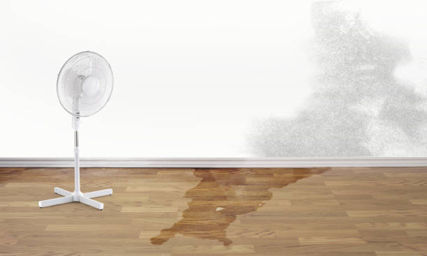 Best Basement water damage restoration  in Sand Ridge, NY