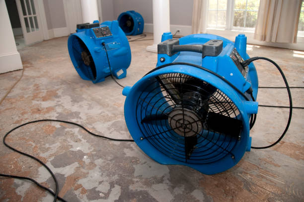 Best 24/7 water damage repair  in Sand Ridge, NY