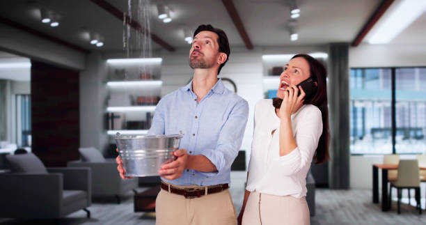 Best Flooded house restoration  in Sand Ridge, NY